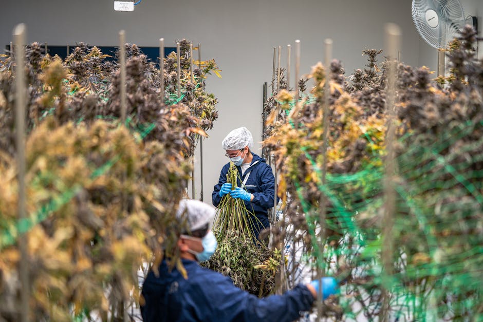 蘭蔻：品牌歷史與產品優勢解析