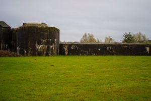 藍十字旅遊保險：一次安心旅程的故事與教訓