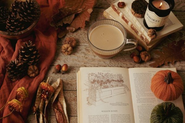 全身脫毛的效果與風險分析