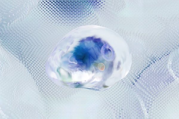 探索腦神經科：從哲學角度理解大腦與神經系統