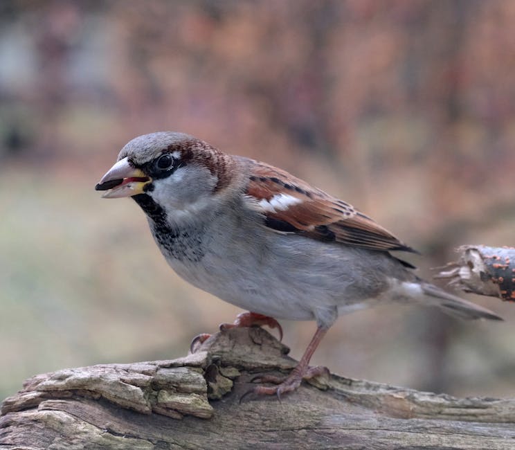 珍禽異獸醫院：專業守護珍稀動物健康的前沿堡壘